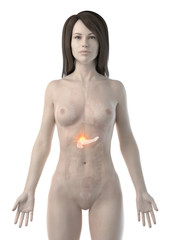 Naklejka premium 3d rendered medically accurate illustration of a womans pancreas cancer
