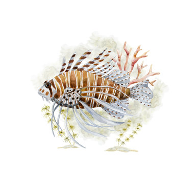 recommend clip art: Watercolor graphic. Underwater world.