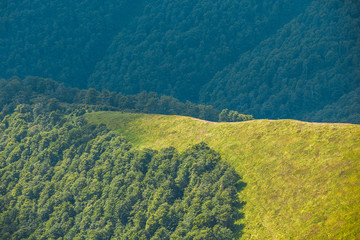 Amazing landscape of mountain green meadow. Location place Ukraine Carpathian ridge Borzhava.