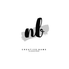 N B NB Initial logo template vector. Letter logo concept with background template.