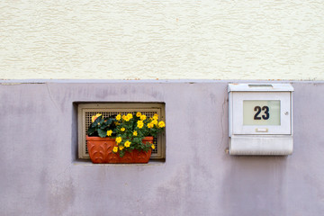 A pot of of yellow flowers and a mailbox with the number 23 on a wall