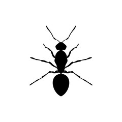 Ant Vector Design Logo. Ant Illustration With Various Shapes and Different movements