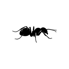 Ant Vector Design Logo. Ant Illustration With Various Shapes and Different movements