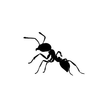 Ant Vector Design Logo. Ant Illustration With Various Shapes and Different movements