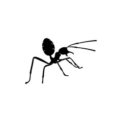 Fototapeta premium Ant Vector Design Logo. Ant Illustration With Various Shapes and Different movements