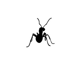 Ant Vector Design Logo. Ant Illustration With Various Shapes and Different movements