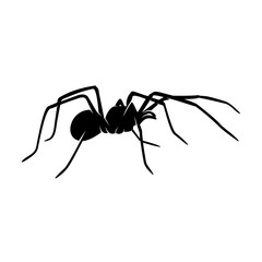 Spiders Vector Design Logo. Spiders Illustration With Various Shapes and Different movements