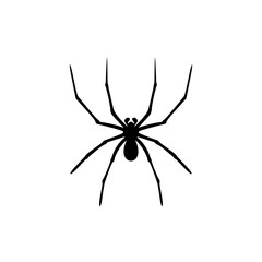 Spiders Vector Design Logo. Spiders Illustration With Various Shapes and Different movements