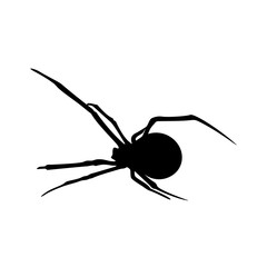Spiders Vector Design Logo. Spiders Illustration With Various Shapes and Different movements