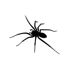 Spiders Vector Design Logo. Spiders Illustration With Various Shapes and Different movements