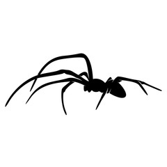 Spiders Vector Design Logo. Spiders Illustration With Various Shapes and Different movements