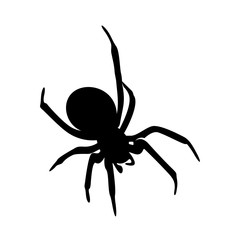 Spiders Vector Design Logo. Spiders Illustration With Various Shapes and Different movements