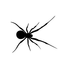 Spiders Vector Design Logo. Spiders Illustration With Various Shapes and Different movements