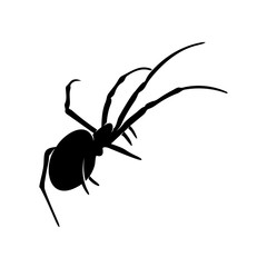 Spiders Vector Design Logo. Spiders Illustration With Various Shapes and Different movements