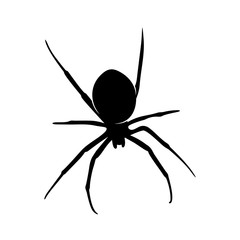 Spiders Vector Design Logo. Spiders Illustration With Various Shapes and Different movements