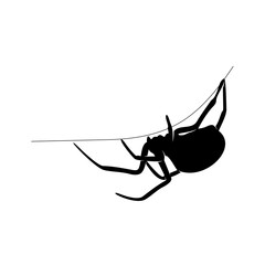 Spiders Vector Design Logo. Spiders Illustration With Various Shapes and Different movements