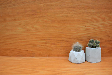 Cactus in cement pot on the brown wooden,For background.