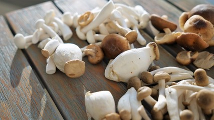 closeup of fresh mushrooms