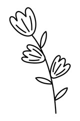 Isolated flowers ornament design vector illustration