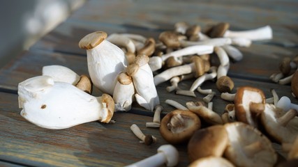 close up view on exotic mix of mushrooms at wooden table