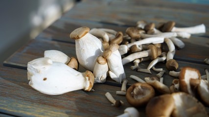 group of fresh mushrooms at wooden surface in sun light