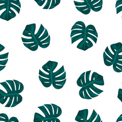 Hand drawn monstera leaves pattern. Tropical leaf background. Vector isolated foliage  wallpaper illustration. Texture for wrapping paper or textile.