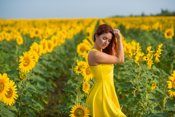 Naklejka na ściany i meble A red-haired woman in a yellow dress is standing in a field of sunflowers. Beautiful girl in a skirt sun enjoys a cloudless day in the countryside. Pink locks of hair.