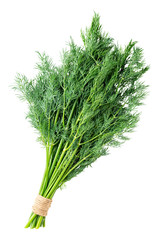 bunch of fresh dill isolated on white background