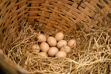 Pile of eggs on straw in wooden basket