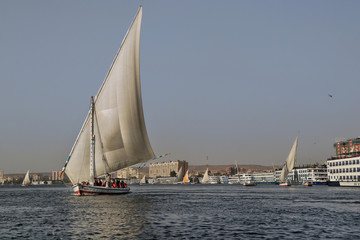 eine Feluke auf dem Nil in Assuan