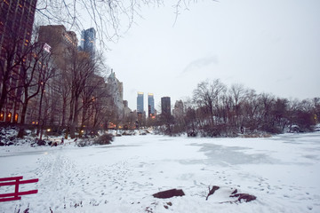 NY winter 