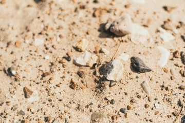 Sand and smooth stones on the beach. Sandy texture, coast, river bank. Large sand with small stones, bright sunlight. The concept of leisure, summer, beach.