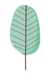 Isolated leaf design vector illustration
