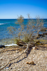 Paros - Kykladen - Küste - Strand