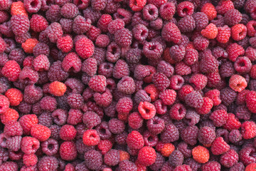 Full frame photo of fresh and delicious red raspberries © rastkobelic