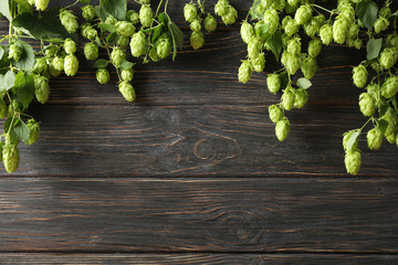Branches of hop on wooden background, space for text