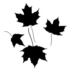 Naklejka premium Isolated leaves on the white background. leaves silhouettes. Vector EPS 10.