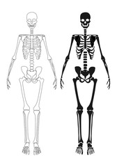 Human skeleton posing isolated over black background vector illustration