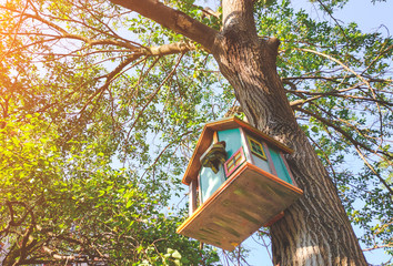 Beautiful decorated birdhouse in a park on a tree