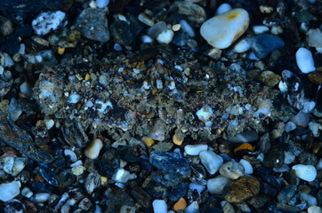  acuático piscina azul mar con textura natación verano claro oceáno abstracta recubrir turquesa dechado mecer olas aseado liquida diáfano mojado mecer olas acuático naturaleza alumbrado