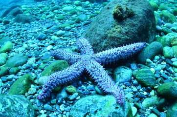  acuático piscina azul mar con textura natación verano claro oceáno abstracta recubrir turquesa dechado mecer olas aseado liquida diáfano mojado mecer olas acuático naturaleza alumbrado
