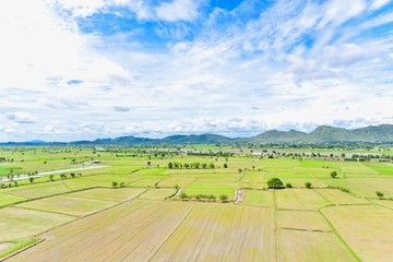 Landscape of Rice Paddy Fields in Rural Areas of Thailand