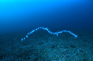  acuático piscina azul mar con textura natación verano claro oceáno abstracta recubrir turquesa dechado mecer olas aseado liquida diáfano mojado mecer olas acuático naturaleza alumbrado