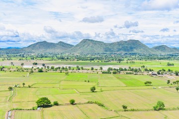 Fototapeta na wymiar Landscape of Rice Paddy Fields in Kanchanaburi, Thailand