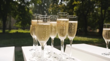 Glasses of champagne with bubbles standing on a white table on a background of nature. Slowmo