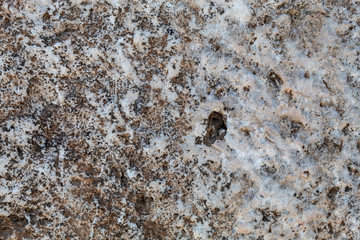 Old Weathered Natural Stone Texture