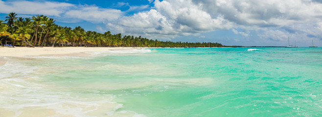 Beautiful tropical beach with white sand, coconut trees and turquoise sea water of the Caribbean on an island in the Dominican Republic. Paradise island for travel and recreation. Panorama copy space