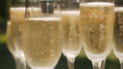 Glasses of champagne with bubbles standing on a white table on a background of nature