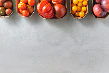 Different types of tomatoes in little trays