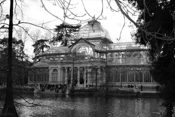 black and white crystal palace